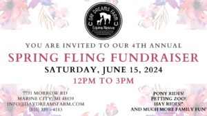 Day Dreams Farm Spring Fling Fundraiser