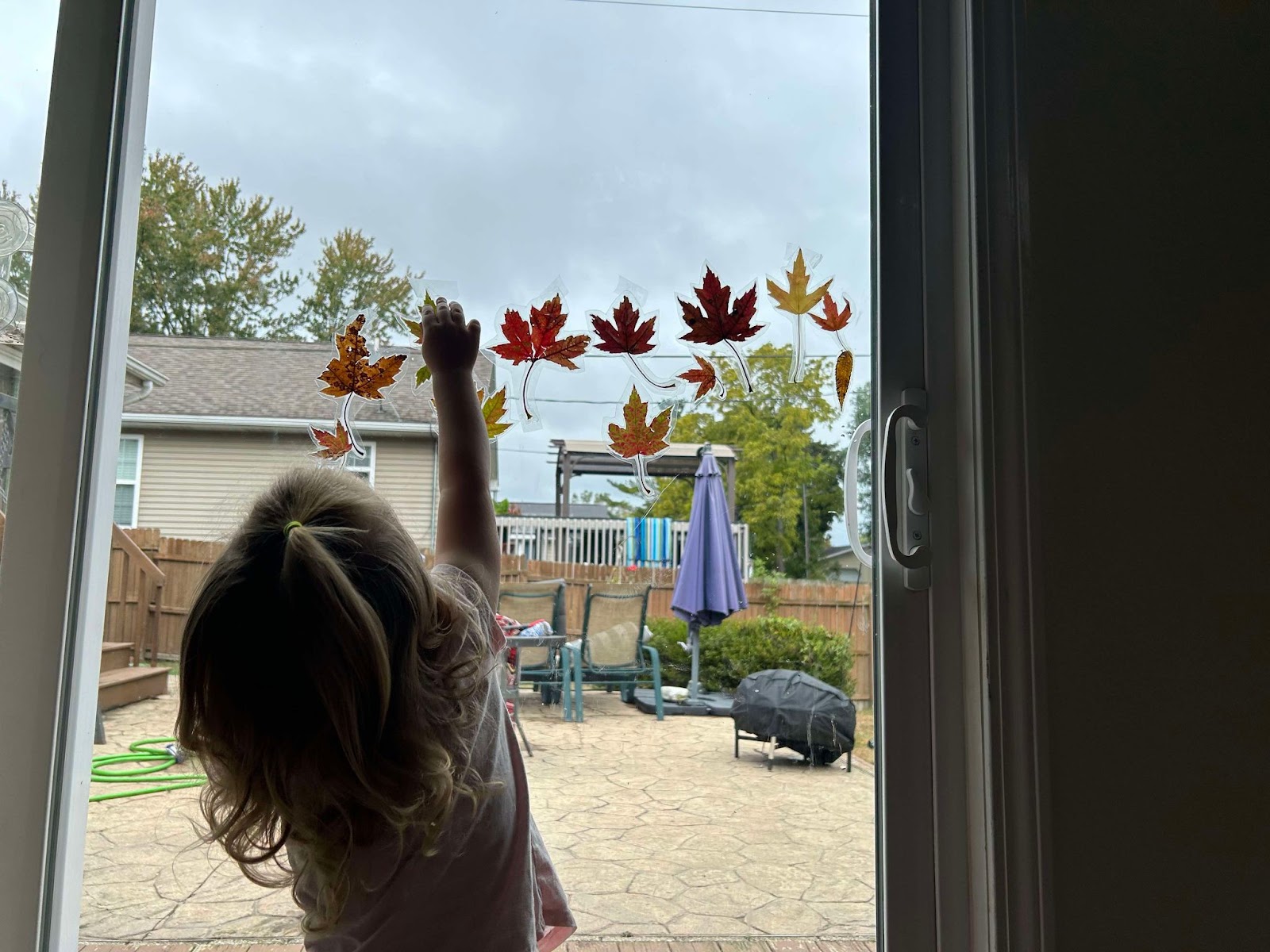 Fall Crafts