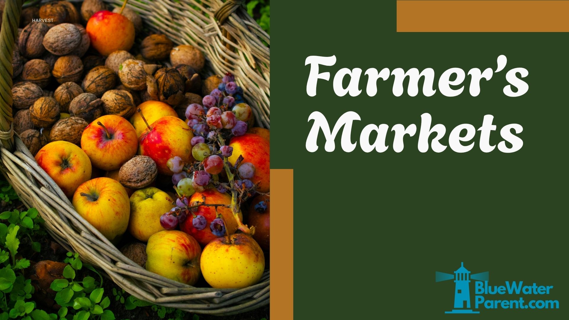 Farmer's Market picture